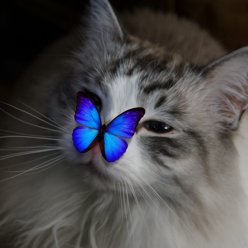Tootie